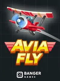 Avia Fly crash at 77JA COM